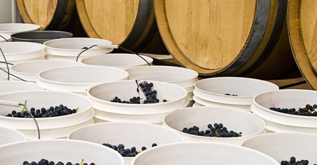 buckets of red grapes next to wood crates