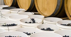 buckets of red grapes next to wood crates