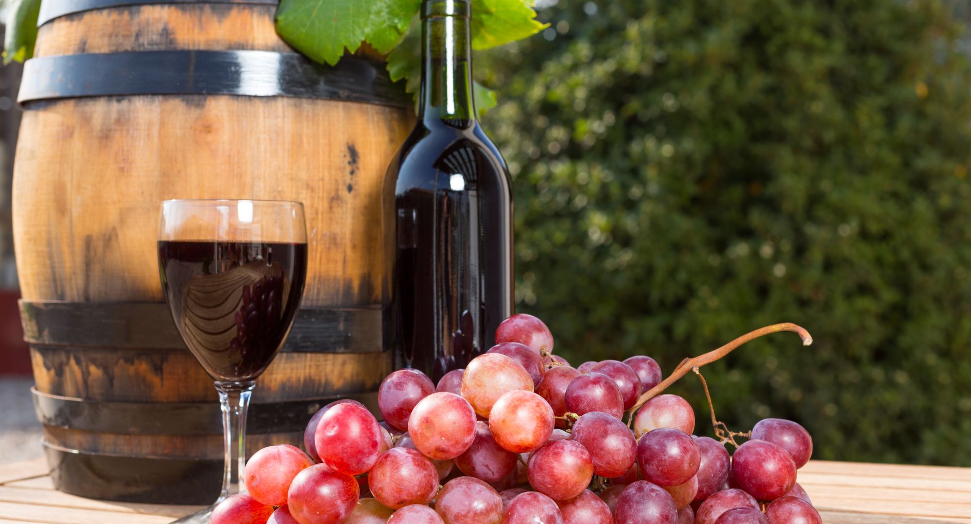Can Any Grape Make Wine Prospero Winery Grapes